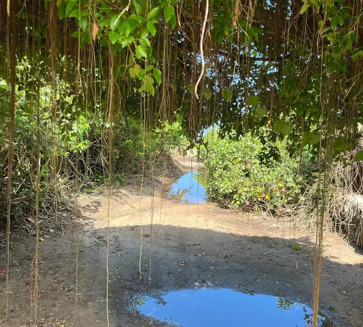 Casa Charmosa Em Laguna 0*,  Brasile